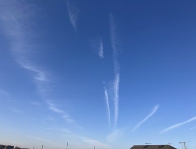 Retina top 20260206a%402x