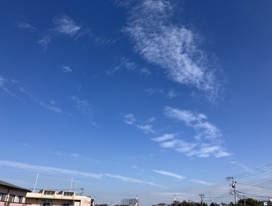 Retina top 20260213a%402x