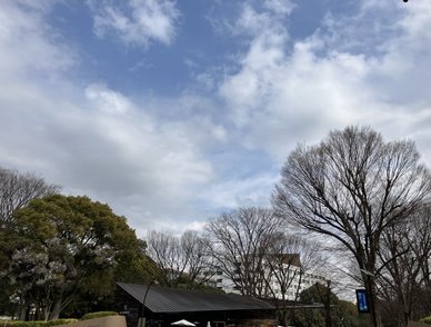 Retina top 20260216a%402x