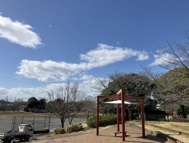 Retina top 20260304a%402x