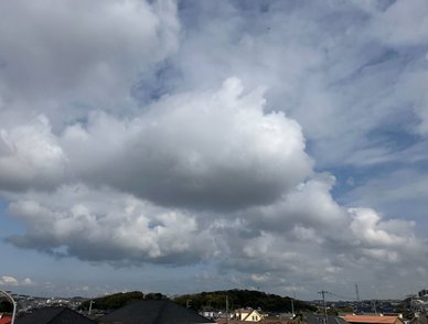 Retina top 20260327a%402x