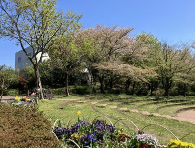 Retina top 20260408a%402x