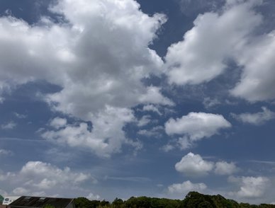 Retina top 20260414b%402x