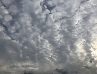 Retina top 20260419b%402x