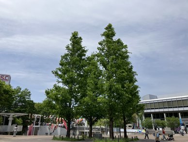 Retina top 20260428a%402x